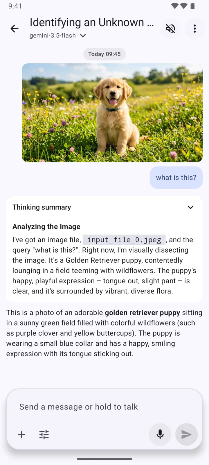ChatBoost using a vision model to understand an image.